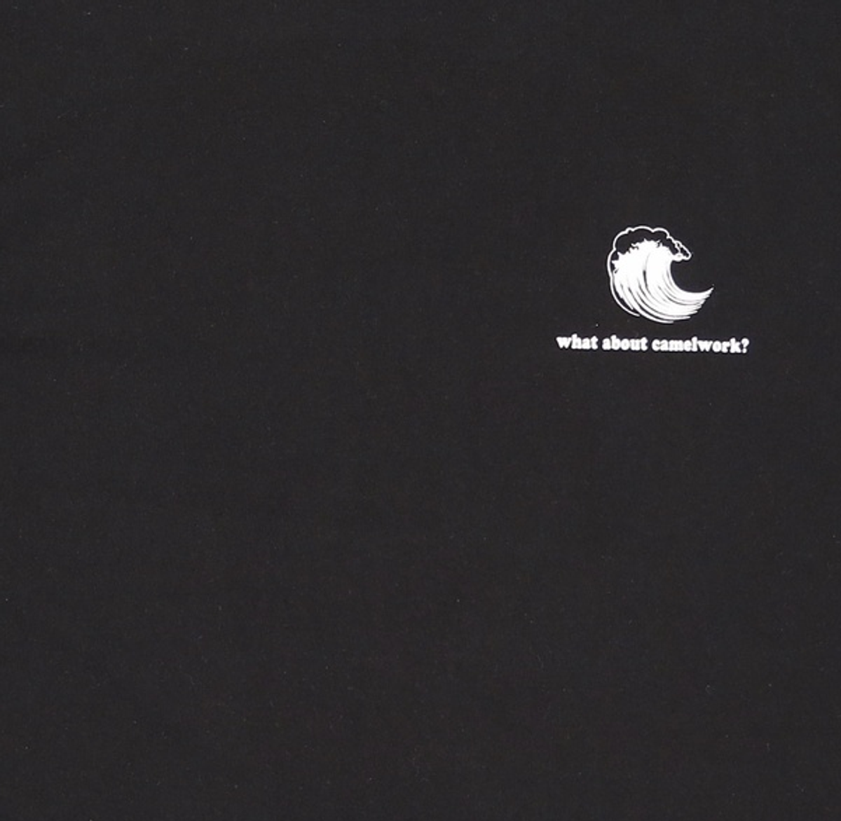 카멜워크(CAMEL WORK) 반소매 티셔츠 XL