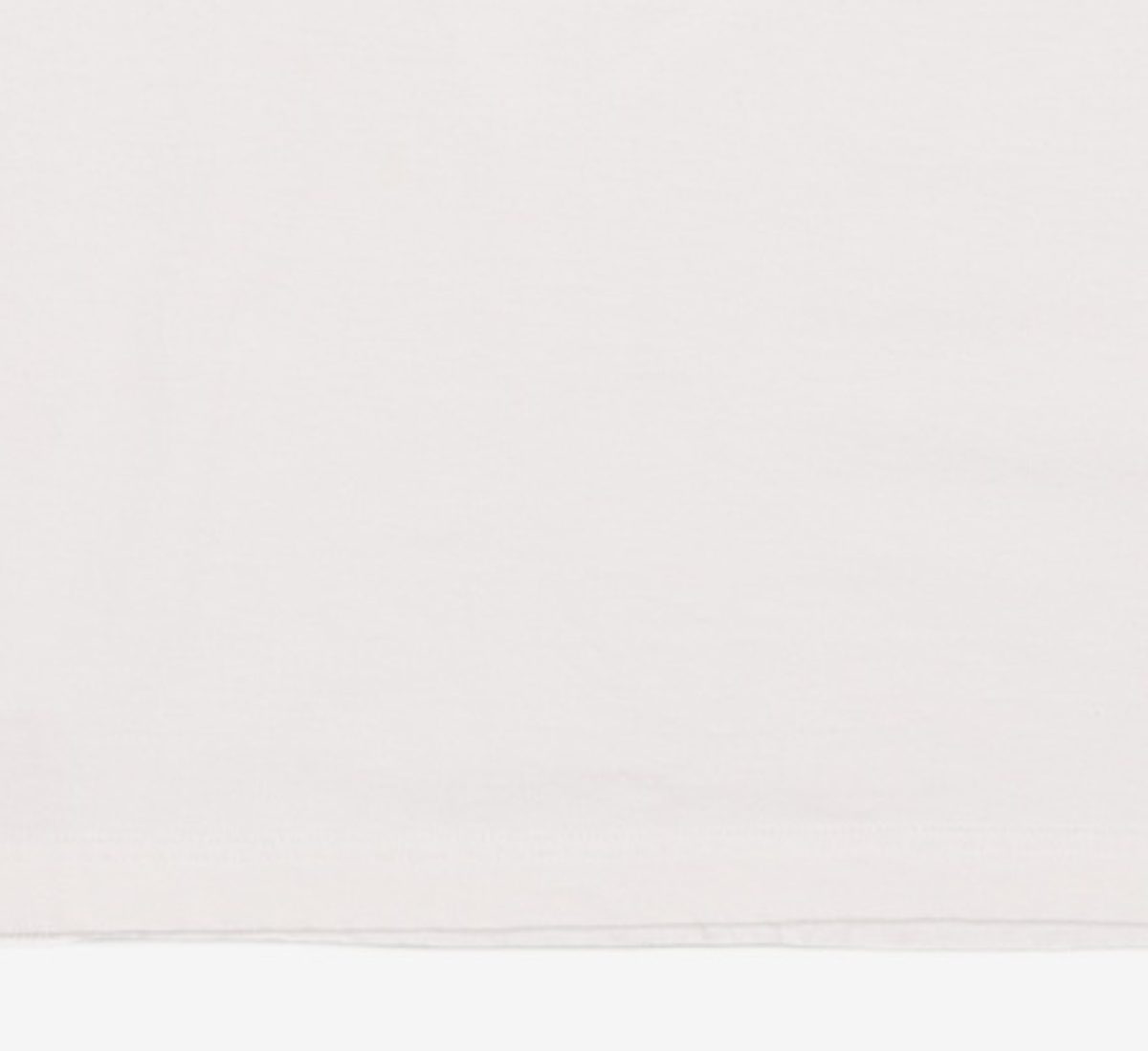트루릴리젼(TRUERELIGION) SMALL OLD GLORY T-SHIRT_WHITE L