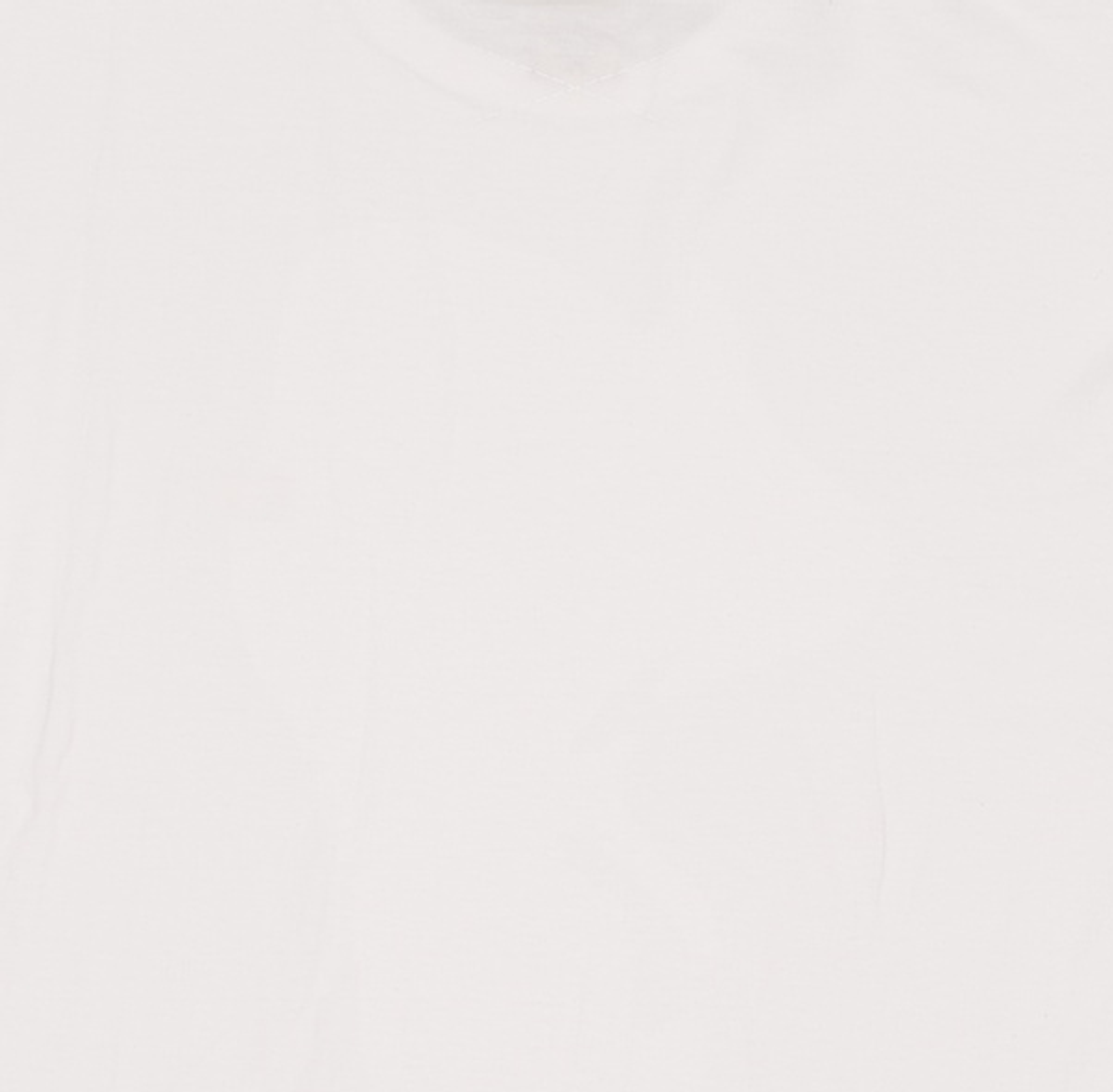 트루릴리젼(TRUERELIGION) SMALL OLD GLORY T-SHIRT_WHITE L