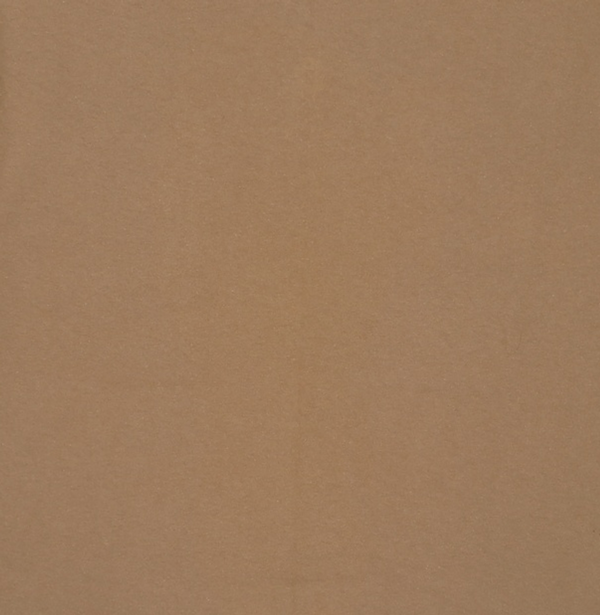 칼하트(CARHARTT) 반소매 티셔츠 2XL