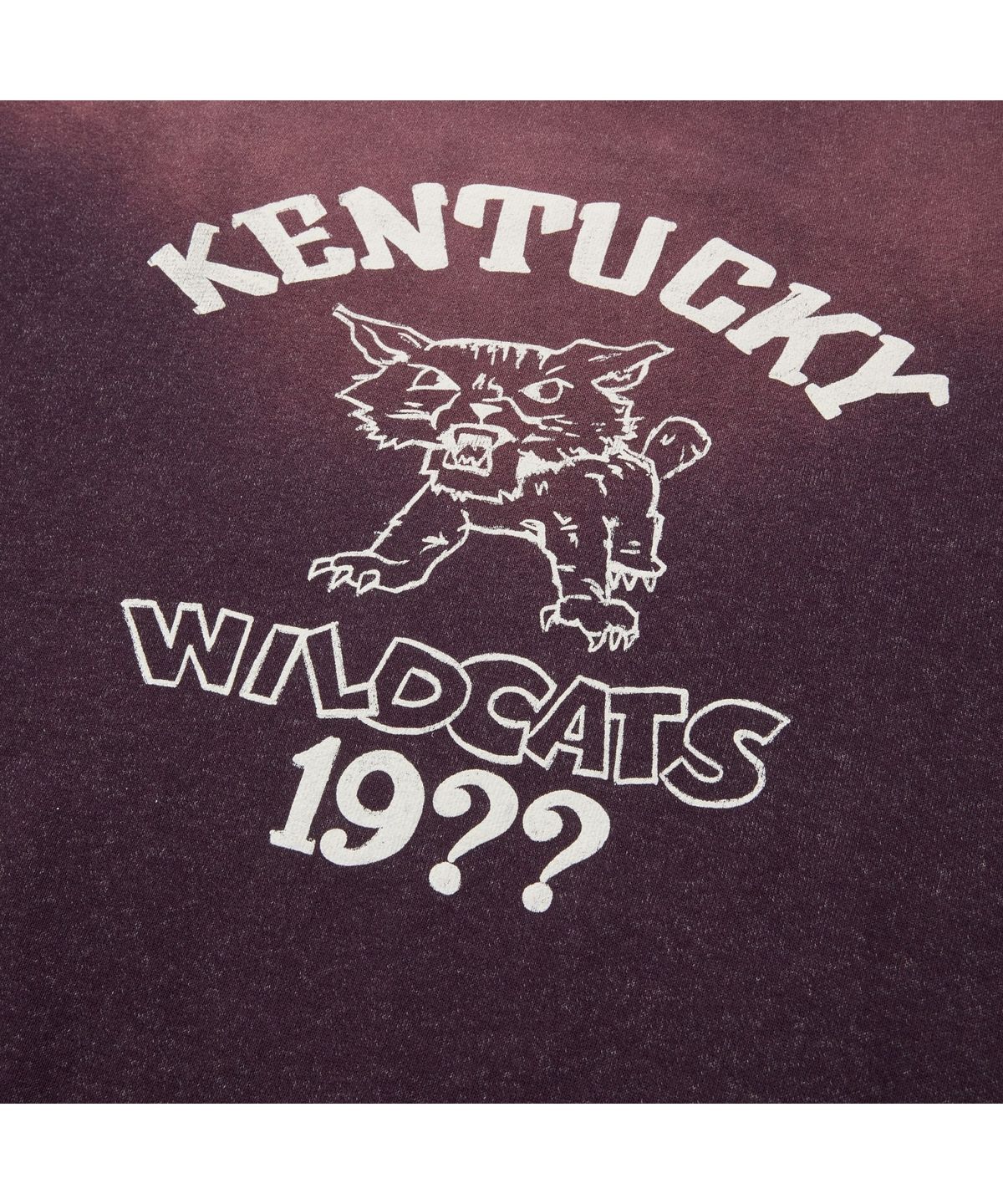 시리즈(SERIES) WILD DONKEY KENTUCKY SUN FADED CREWNECK SVTAW26253PPX