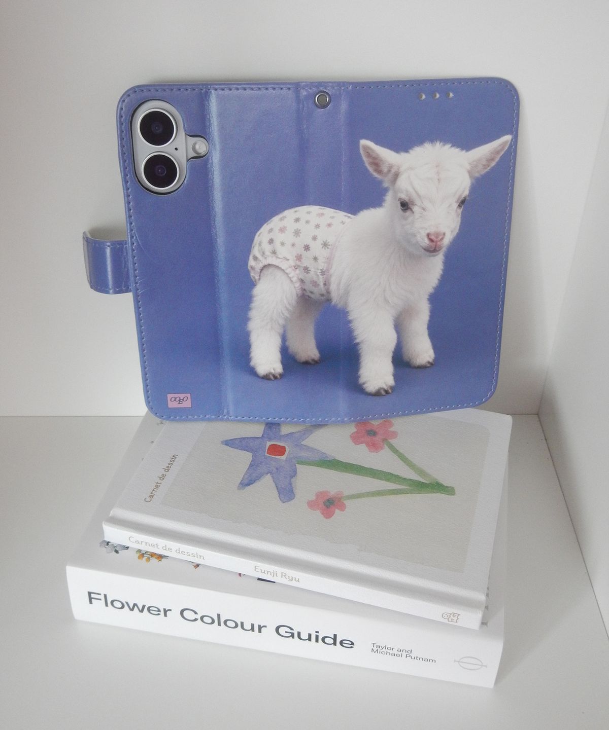 일공팔일(1081) Sunday Baby Diary Case