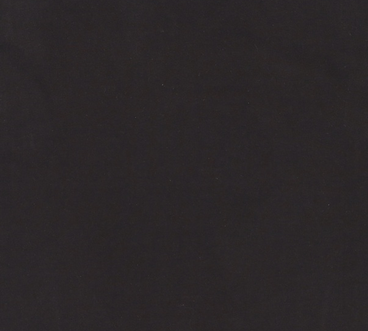 바이젝(BYSEC) 반소매 티셔츠 XXXL