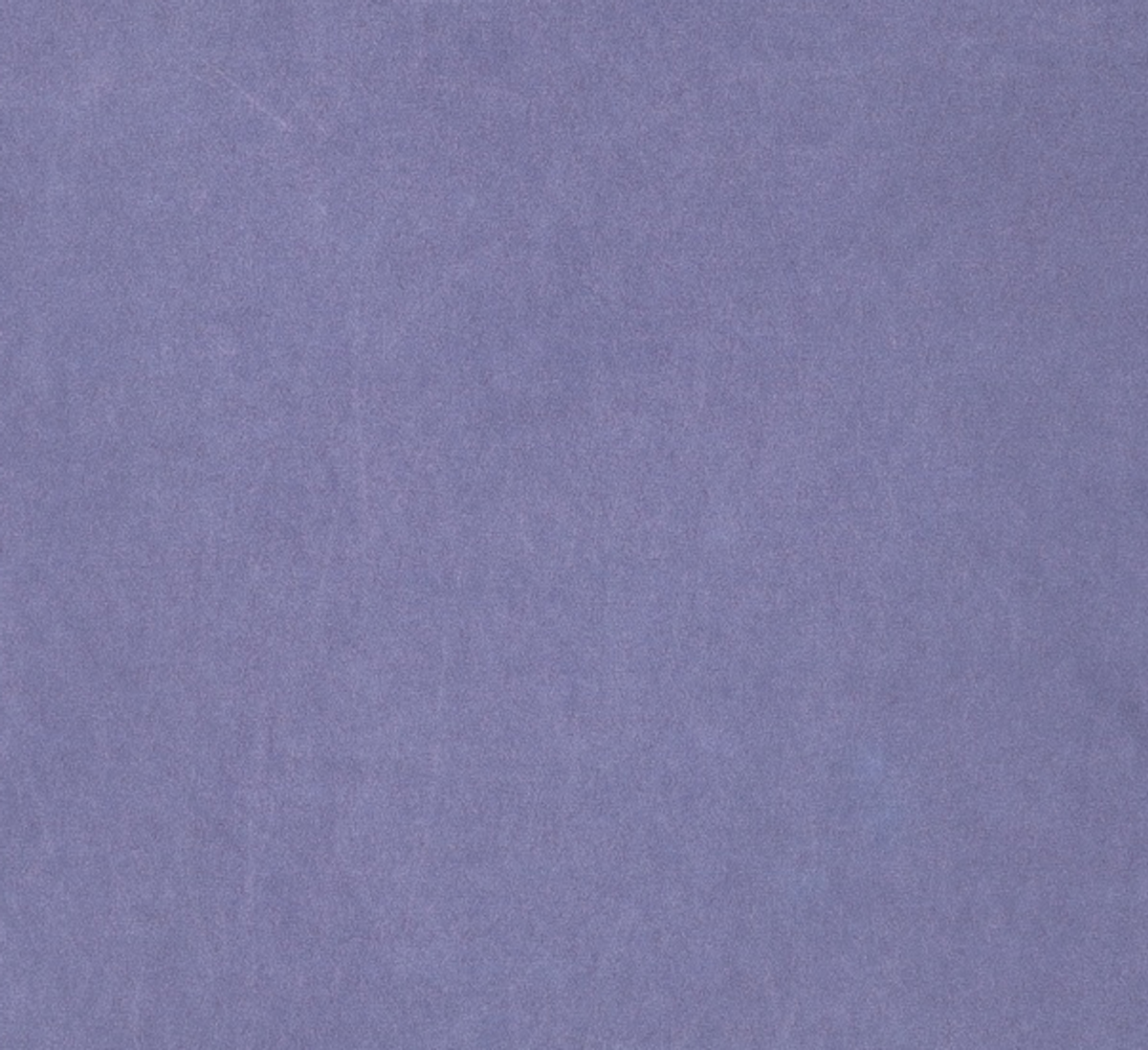 본투윈(BORN TO WIN) CRACK B PIGMENT LONGSLEEVE [BLUE] 1