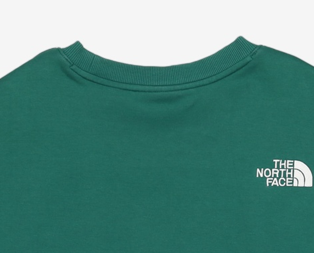 노스페이스(THE NORTH FACE) 맨투맨/스웨트셔츠 110