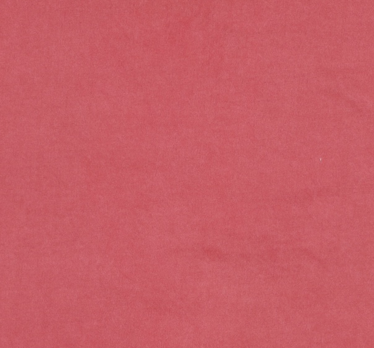 엠엠엘지(MMLG) [Mmlg] LAYOUT WASHED HF-T (RED) L