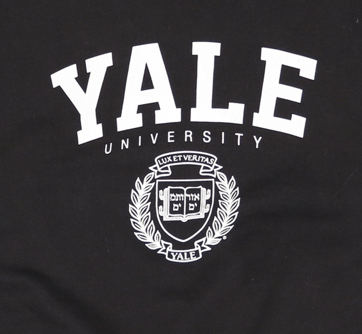 예일(YALE) 맨투맨/스웨트셔츠 M