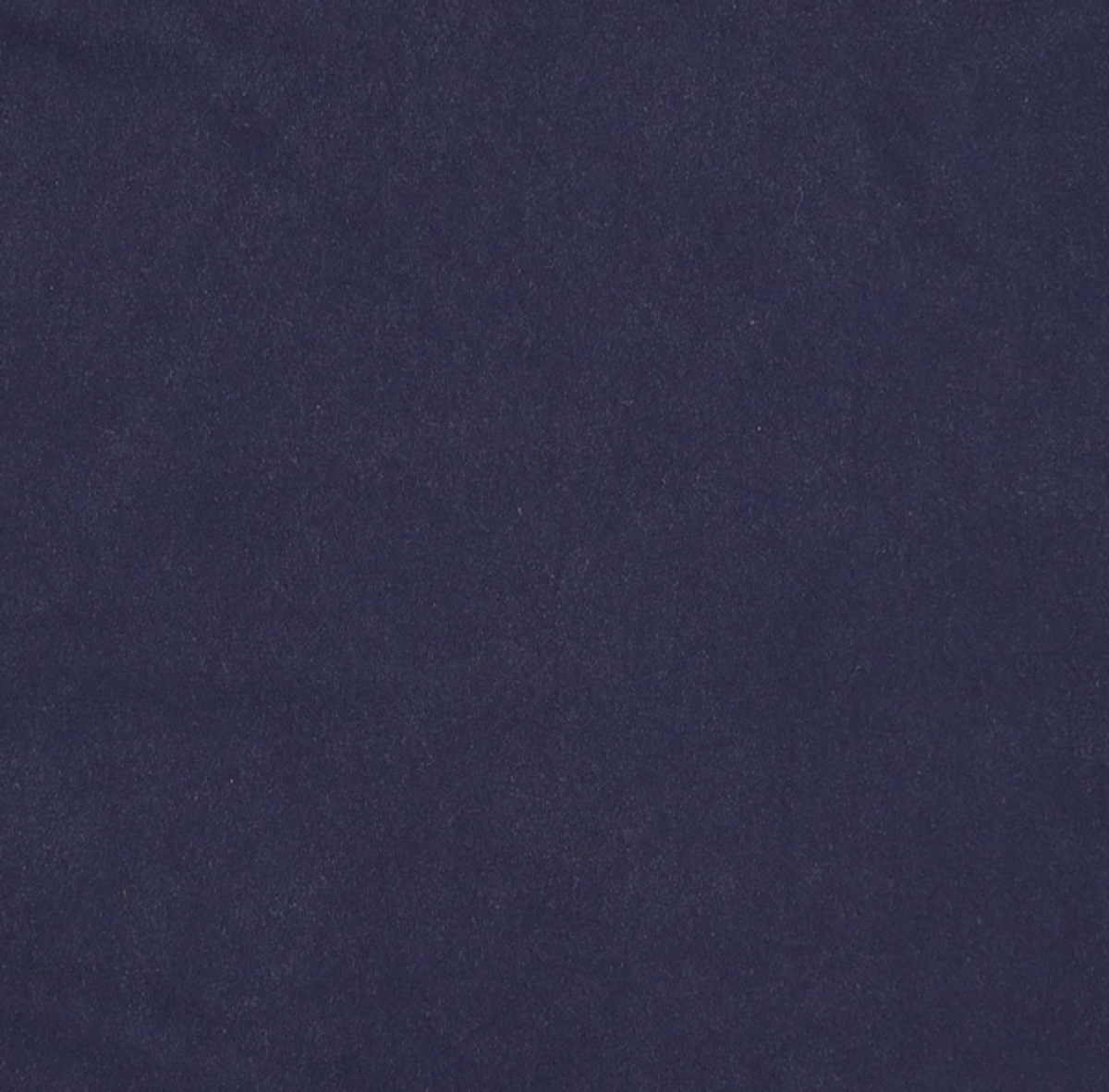 프리즘웍스(FRIZMWORKS) NATURE BASE CAMP TEE _ NAVY XL