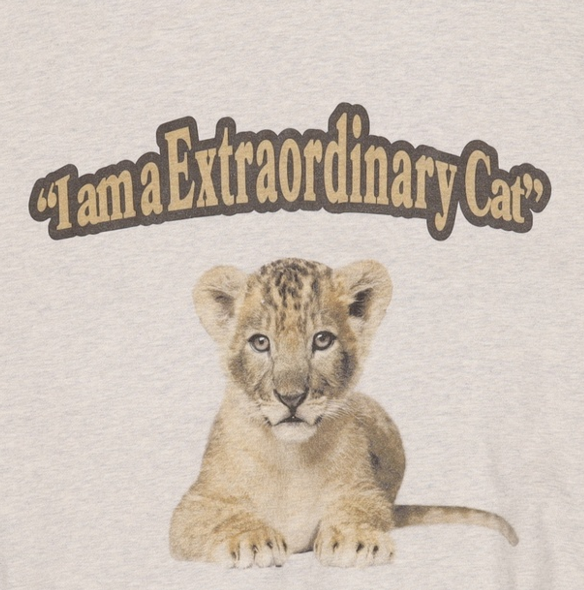엑스트라오디너리(EXTRAORDINARY) 맨투맨/스웨트셔츠 L
