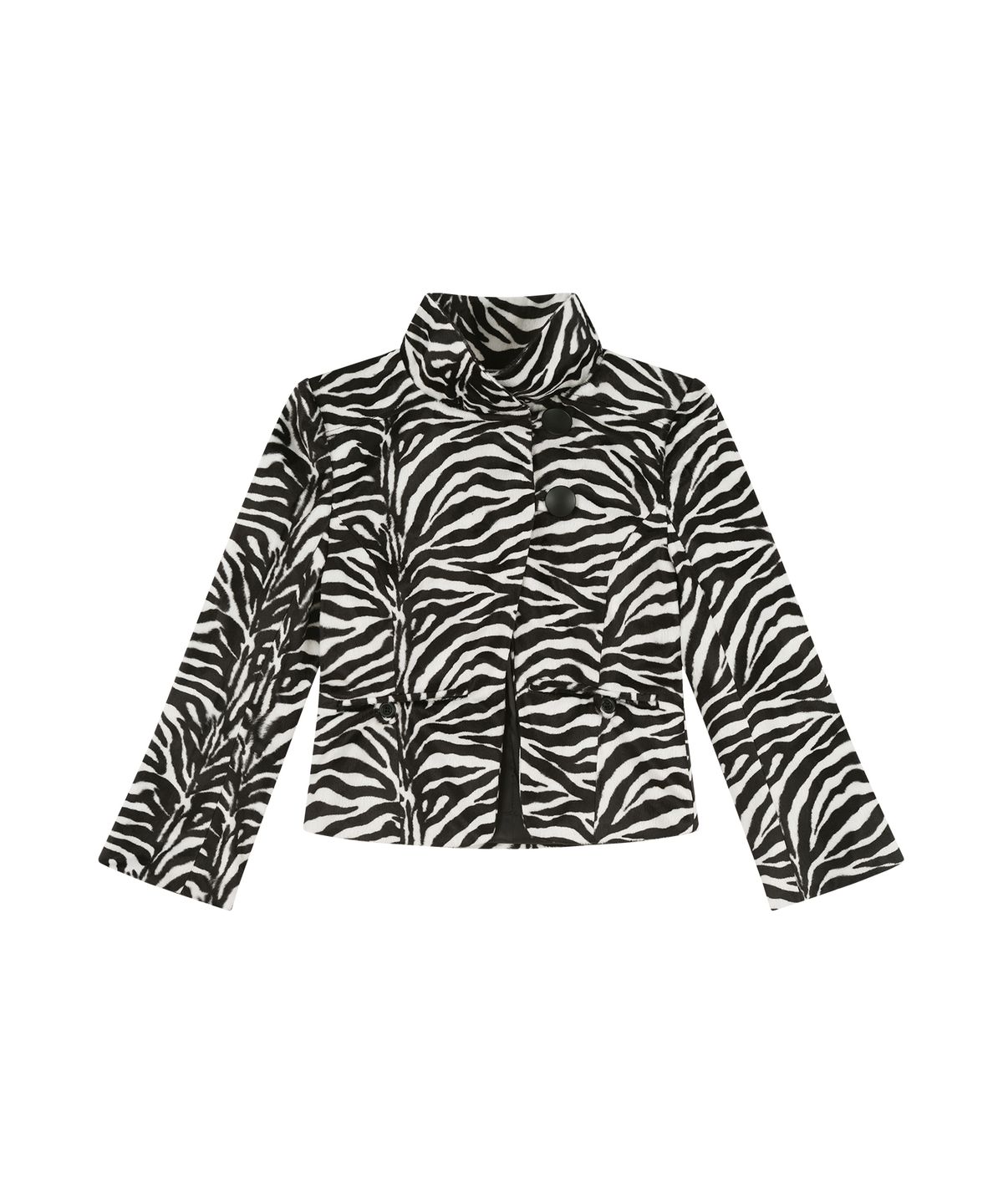 카시코(KASHIKO) Quarter Cut High-Neck Jacket Zebra
