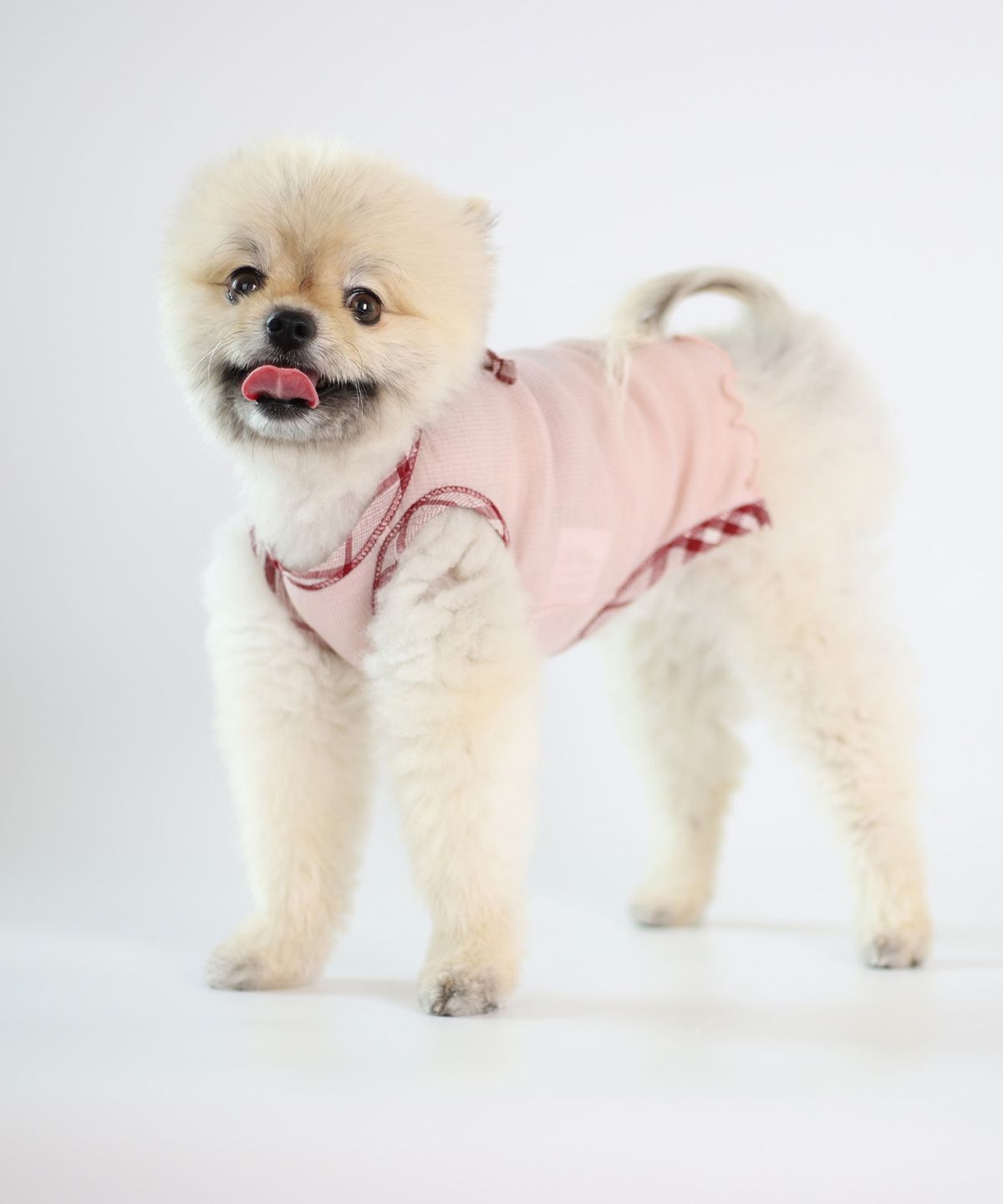 몽루(MONLOUP) 가든 파티