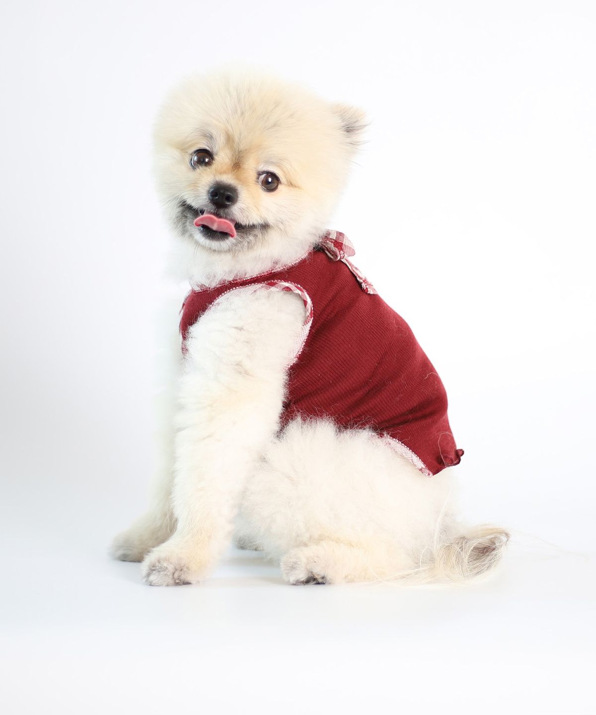 몽루(MONLOUP) 가든 파티