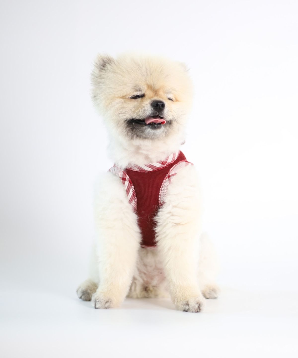 몽루(MONLOUP) 가든 파티