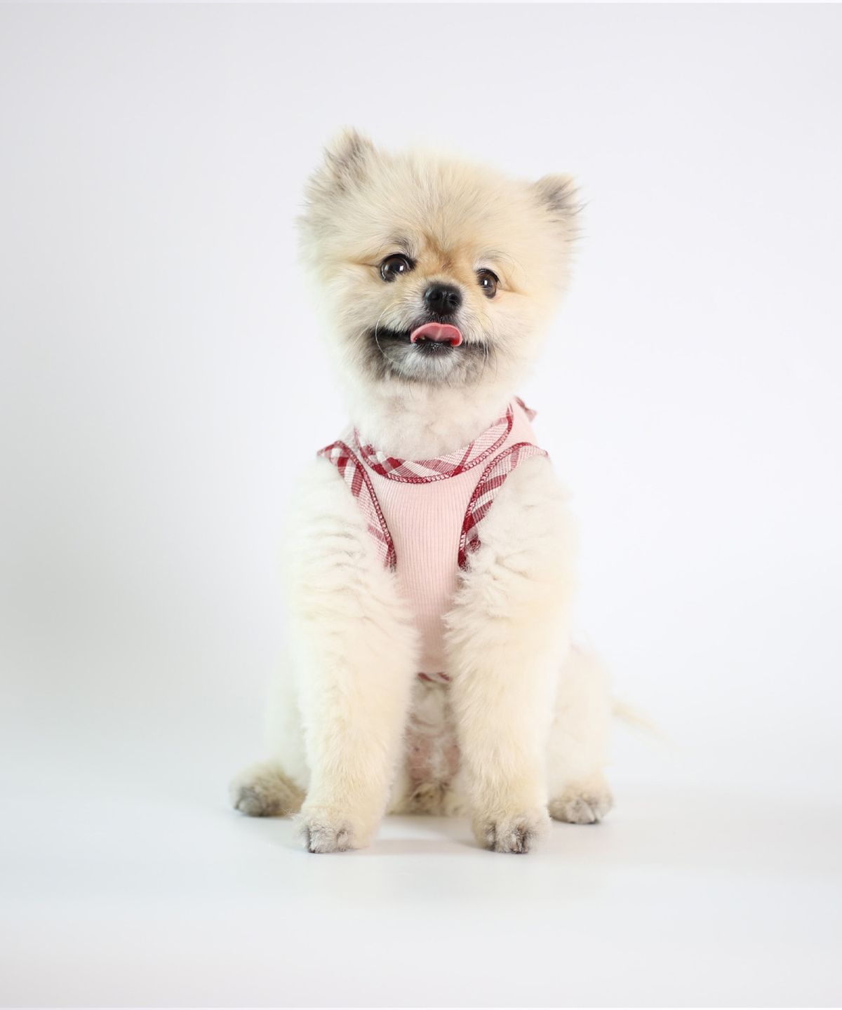 몽루(MONLOUP) 가든 파티