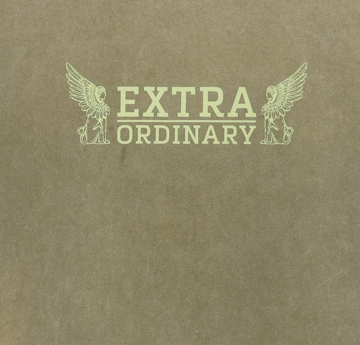 엑스트라오디너리(EXTRAORDINARY) 반소매 티셔츠 XXL