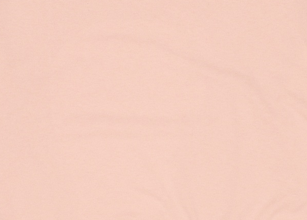 단톤(DANTON) 맨투맨/스웨트셔츠 XL