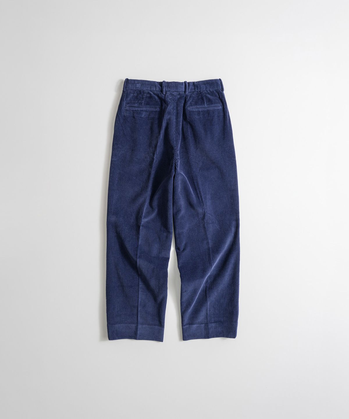 비헤비어(BEHEAVYER) WASHED CORDUROY OFFICER TROUSERS french blue