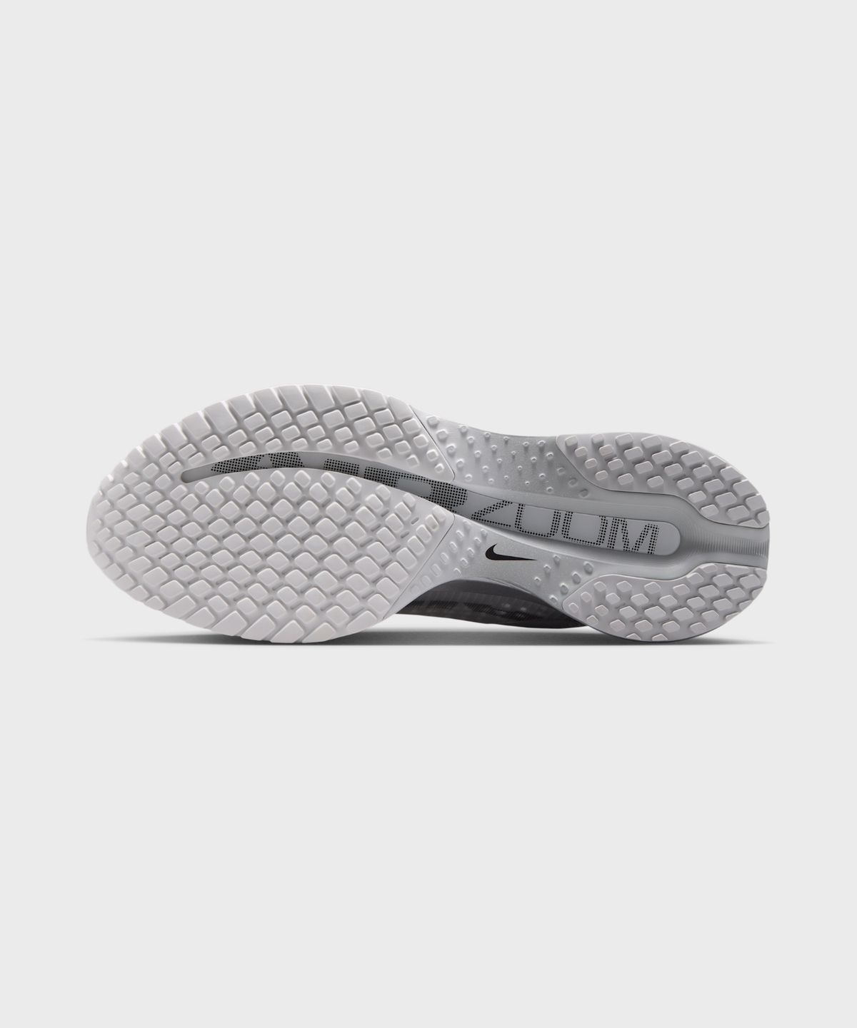 나이키(NIKE) 페가수스 프리미엄 W - 서밋 화이트:그레이 포그:블랙:메탈릭 실버 / IR0836-100