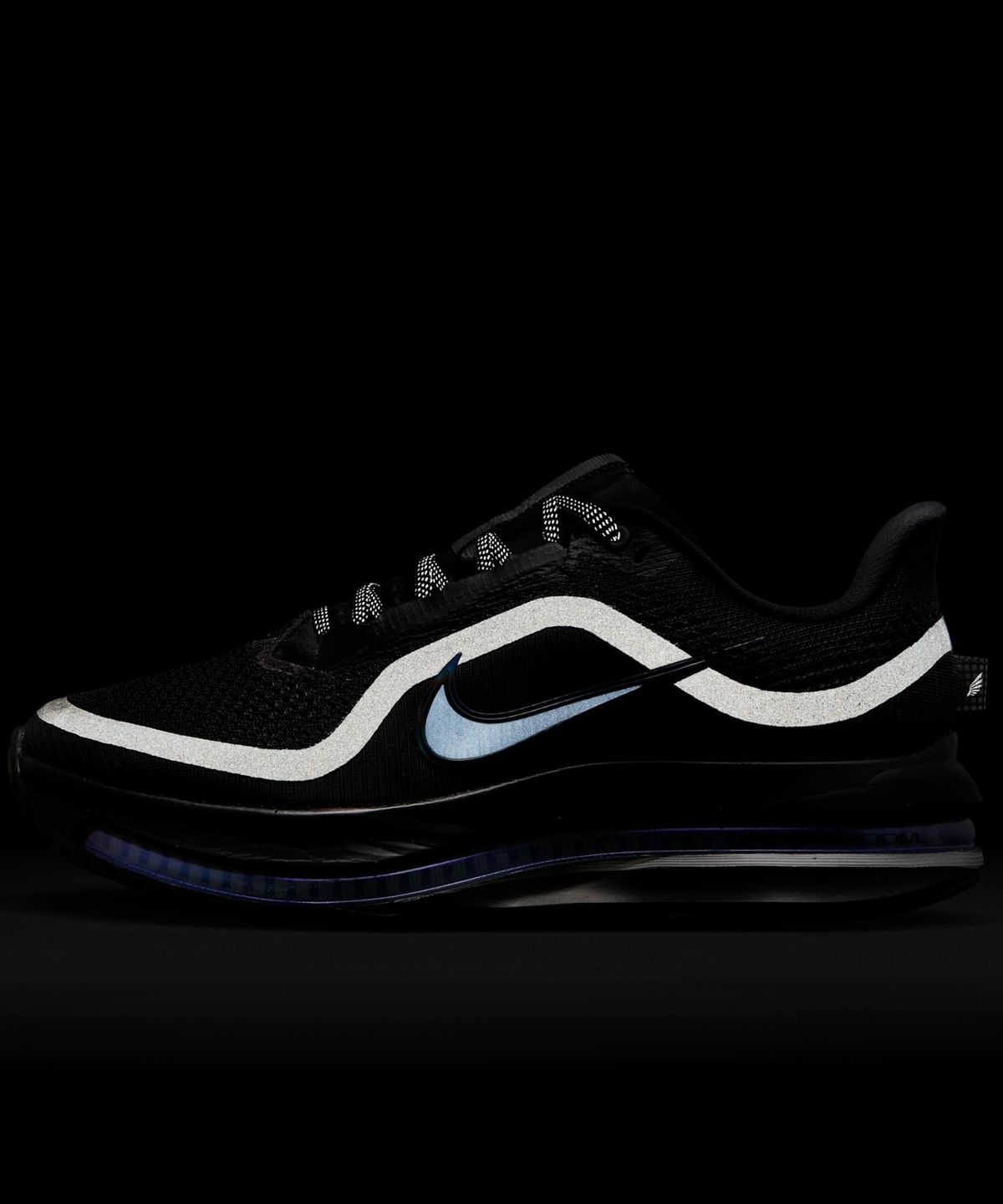 나이키(NIKE) 페가수스 프리미엄 M - 블랙:메탈릭 실버:블랙 / HQ2593-004