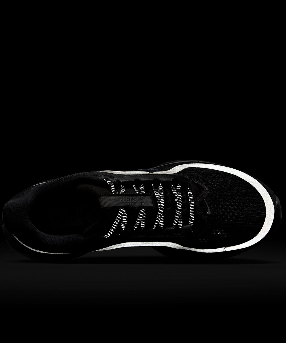 나이키(NIKE) 페가수스 프리미엄 M - 블랙:메탈릭 실버:블랙 / HQ2593-004