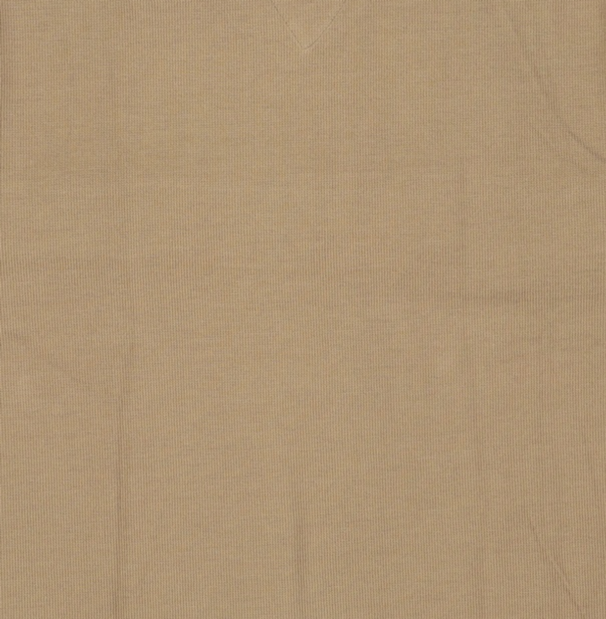 라코스테(LACOSTE) 반소매 티셔츠 95