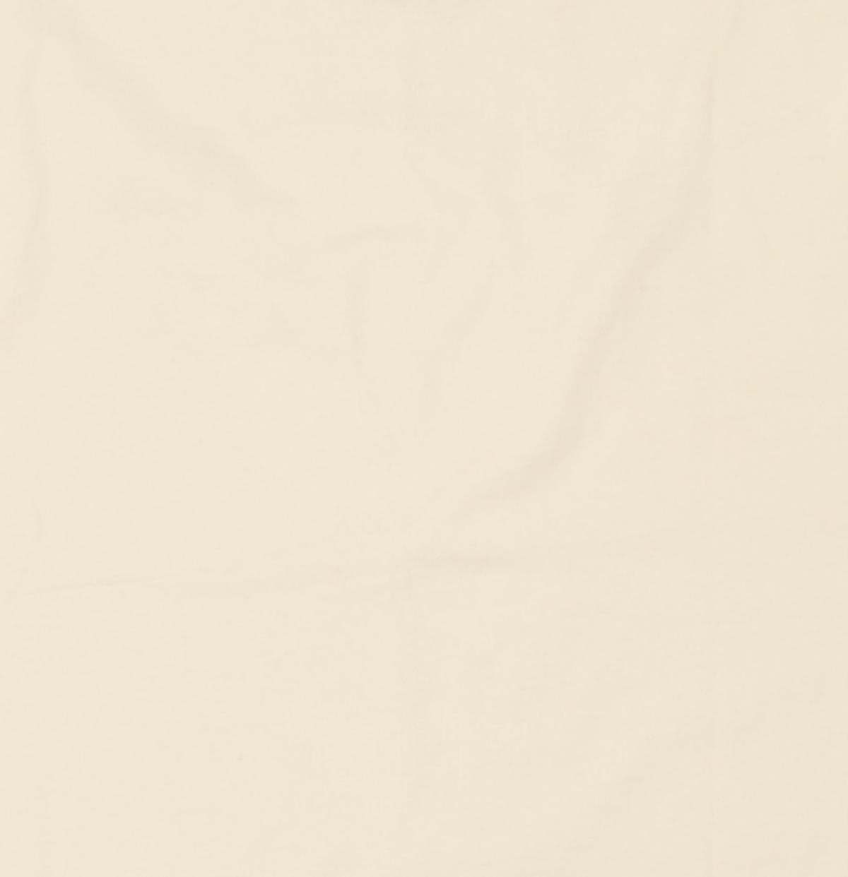 노매뉴얼(NOMANUAL) N.D RINGER T-SHIRT - CREAM XL