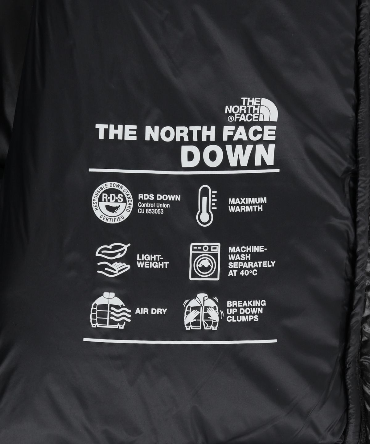 노스페이스(THE NORTH FACE) NV1DS52J 노벨티 눕시 다운 베스트 (RDS) BLACK