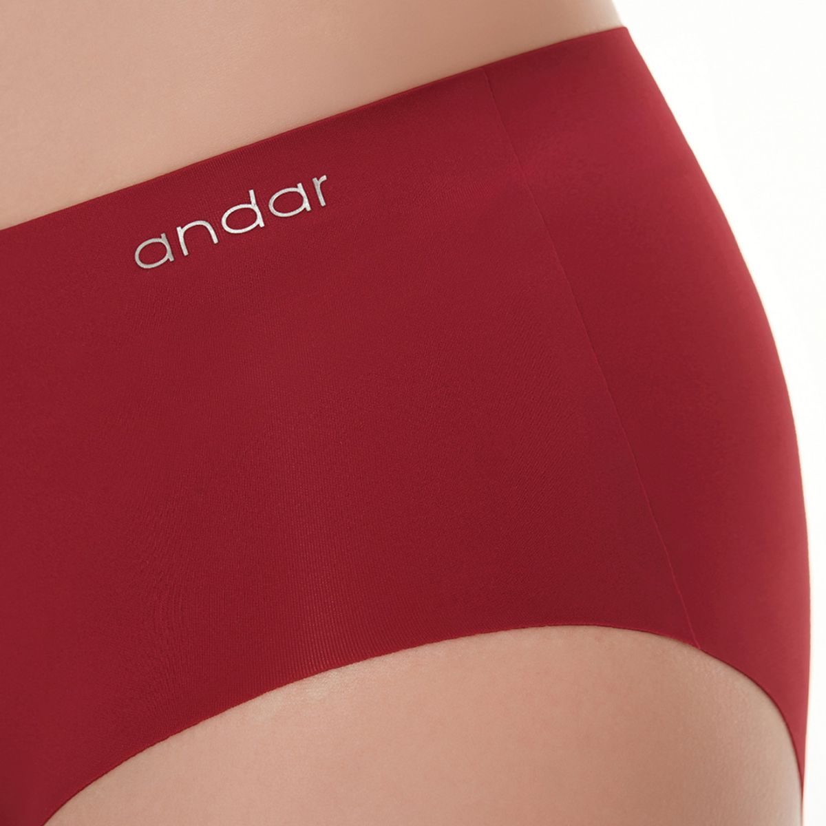 안다르(ANDAR) [2 PACK] 올데이핏 팬티 (레드)
