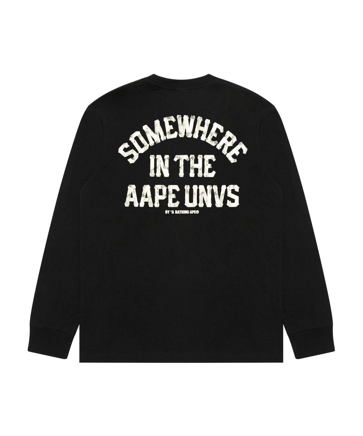 에이프(AAPE) AAPEUNVS 롱슬리브 티셔츠 블랙 / AAPLTM1971XXRBKX