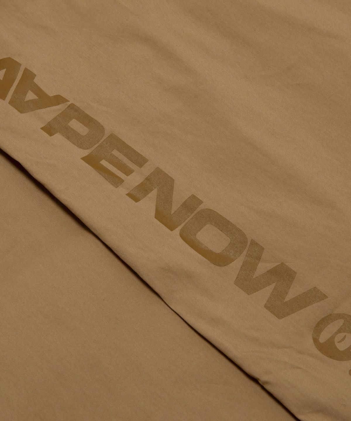 에이프(AAPE) AAPENOW Moonface 카고 팬츠 베이지 / AAPPTMD645XXRBGX