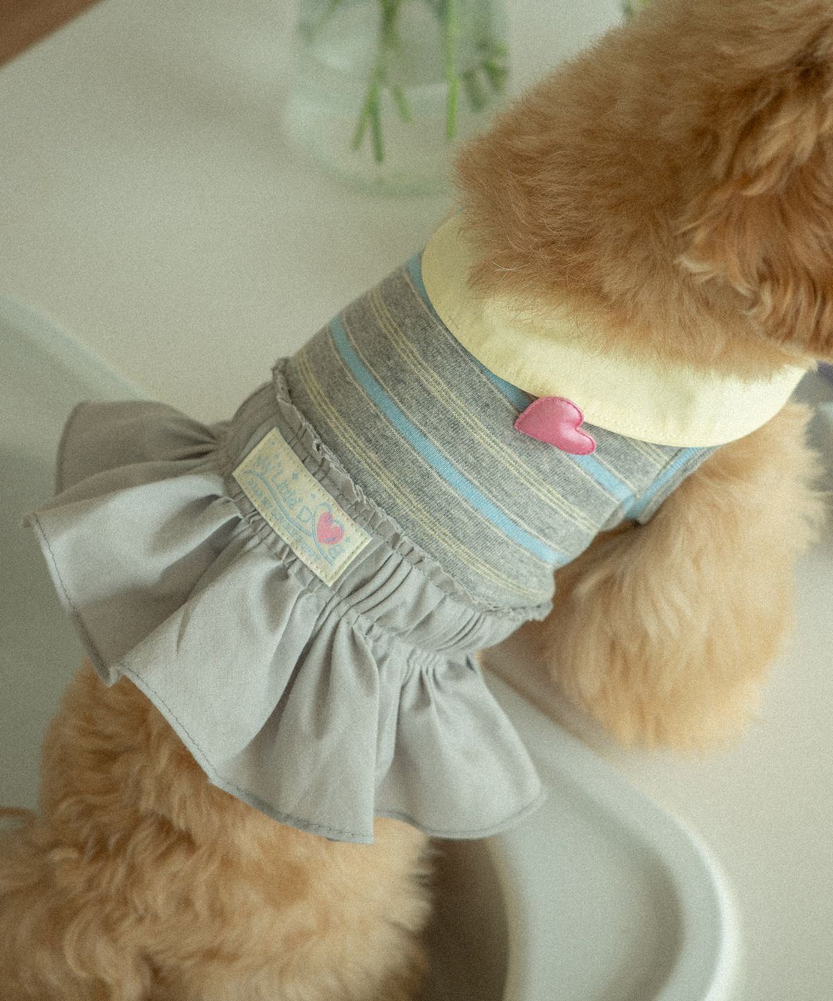 마이리틀독(MY LITTLE DOG) 앨리 카라 원피스