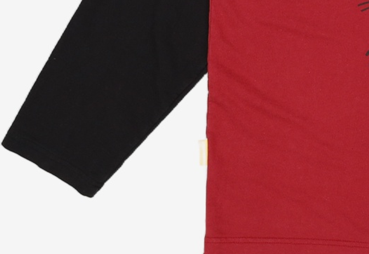 메인부스(MAINBOOTH) Freaky Mushroom Raglan T-shirt(BRICK) 2