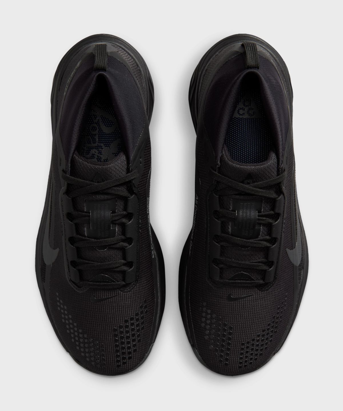 나이키(NIKE) ACG 페가수스 트레일 GORE-TEX W - 블랙:서밋 화이트:앤트러사이트 / IQ1394-003
