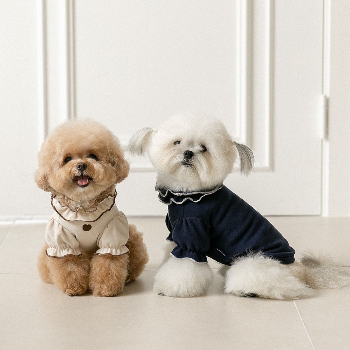 펫츠랜드(PETSLAND) 강아지옷 마들렌 프릴 티셔츠 2color S-2XL
