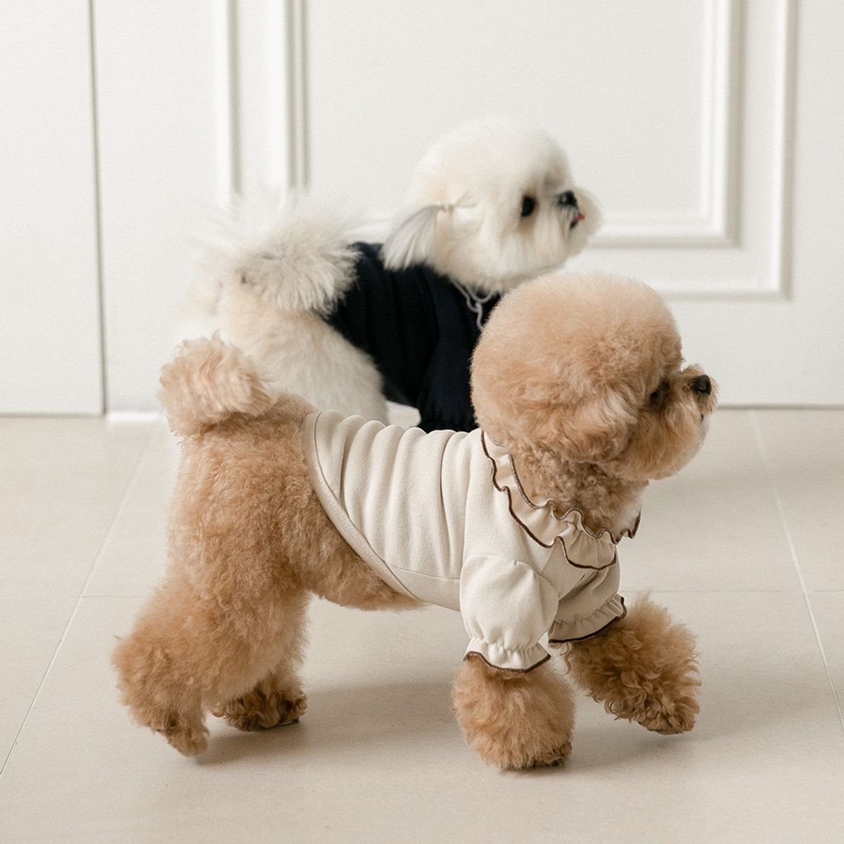 펫츠랜드(PETSLAND) 강아지옷 마들렌 프릴 티셔츠 2color S-2XL