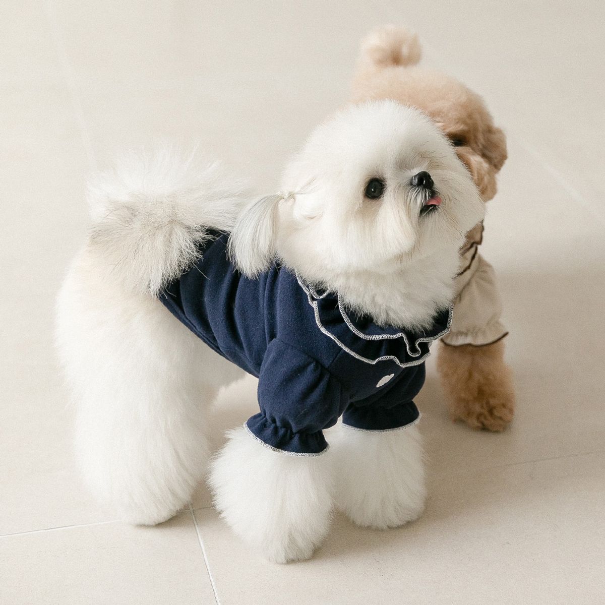 펫츠랜드(PETSLAND) 강아지옷 마들렌 프릴 티셔츠 2color S-2XL