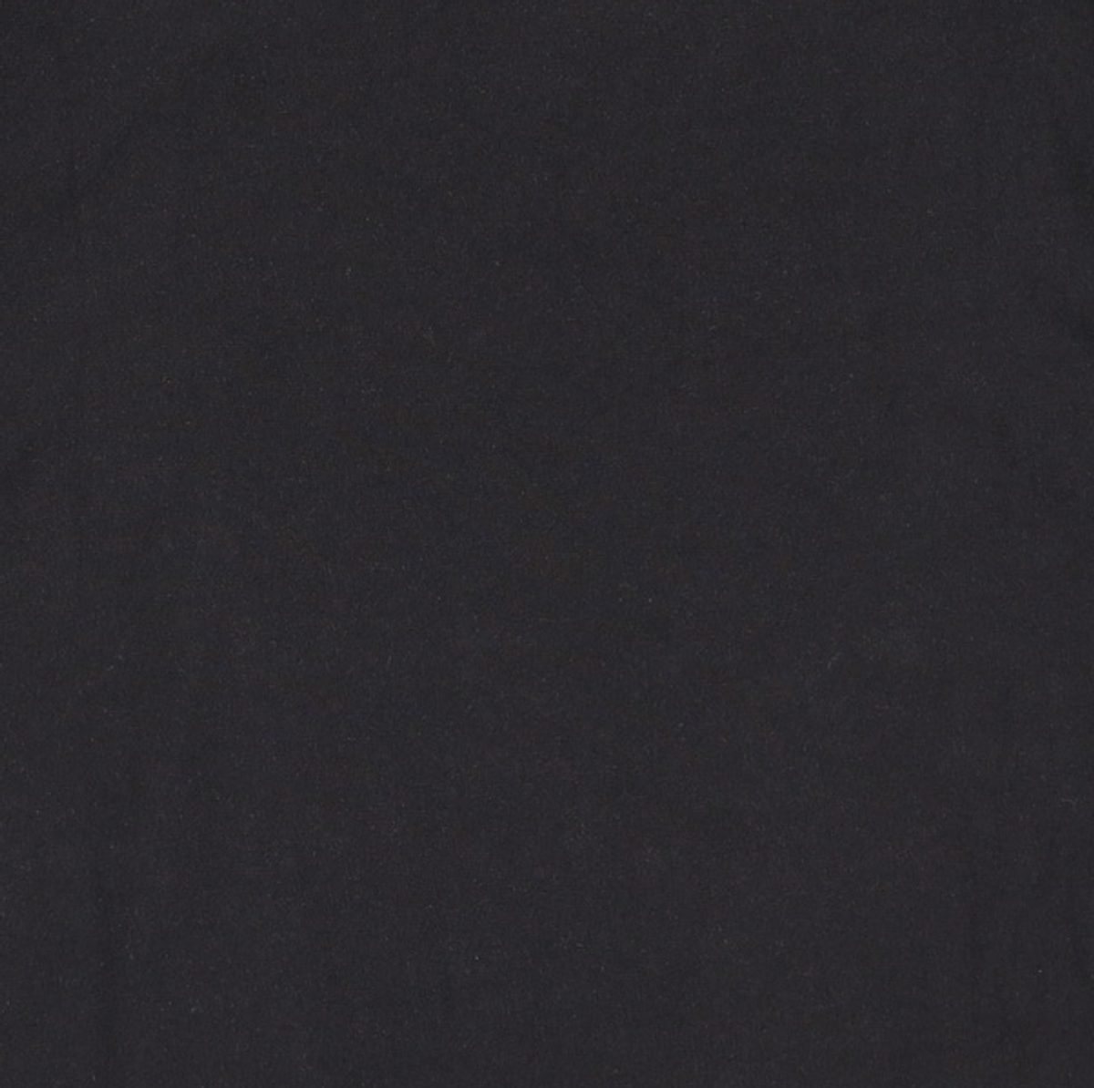 챔피온(CHAMPION) [ASIA] Reverse Weave® 094 Jersey 그래픽 반팔티셔츠 (BLACK) CKTS3E034BK XL