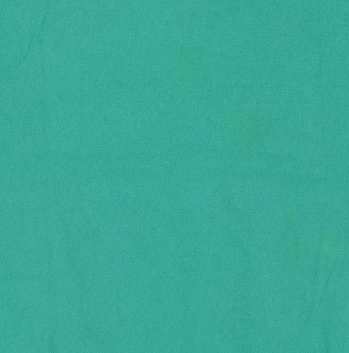 챔피온(CHAMPION) [ASIA] Reverse Weave® 094 Jersey 그래픽 반팔티셔츠 (LIGHT GREEN) CKTS3E034E1 XL