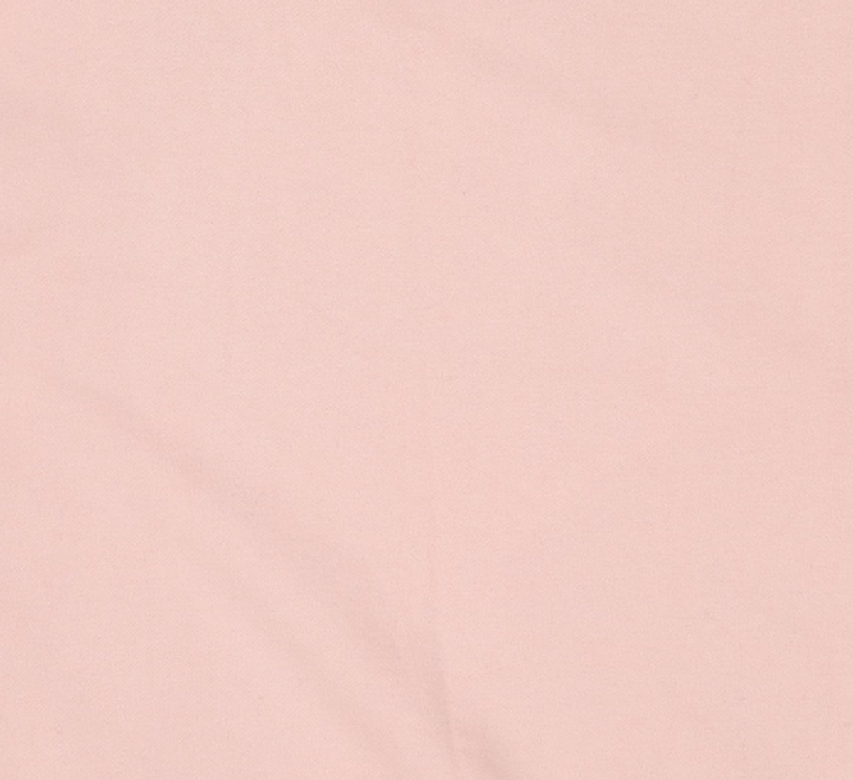 카이아크만(KAIAAKMANN) 맨투맨/스웨트셔츠 FREE