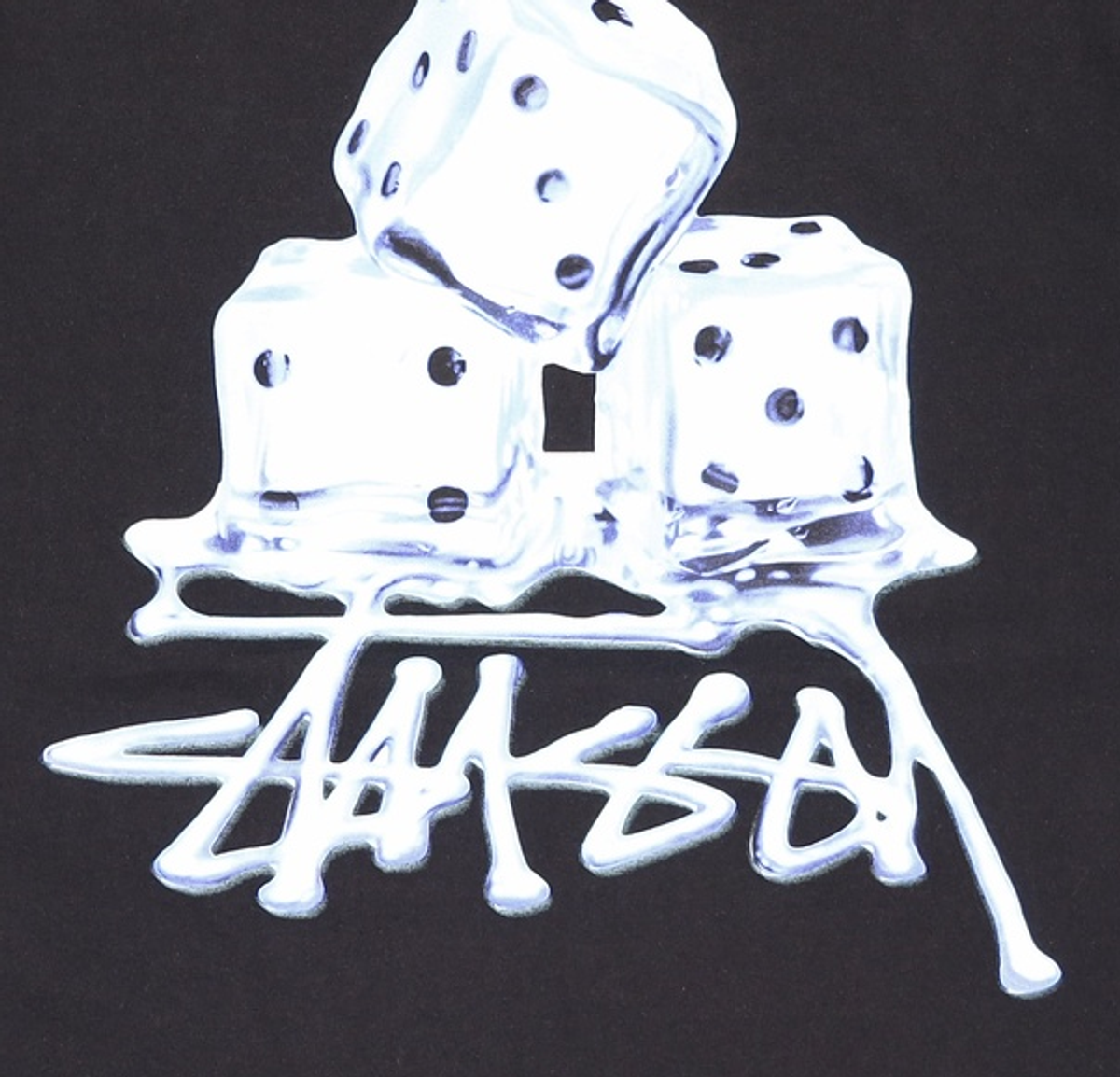 스투시(STUSSY) 반소매 티셔츠 XL