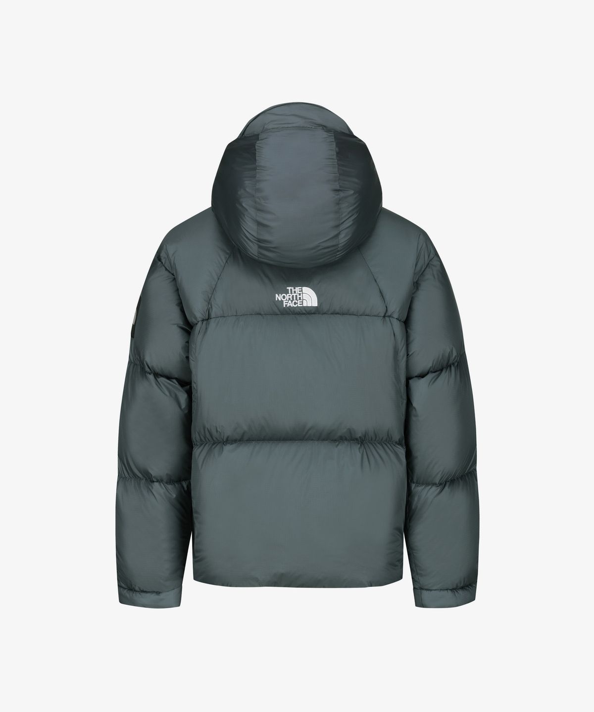 노스페이스(THE NORTH FACE) NJ1DS66K 프로젝트 다운 자켓 (RDS) DUSK BLUE