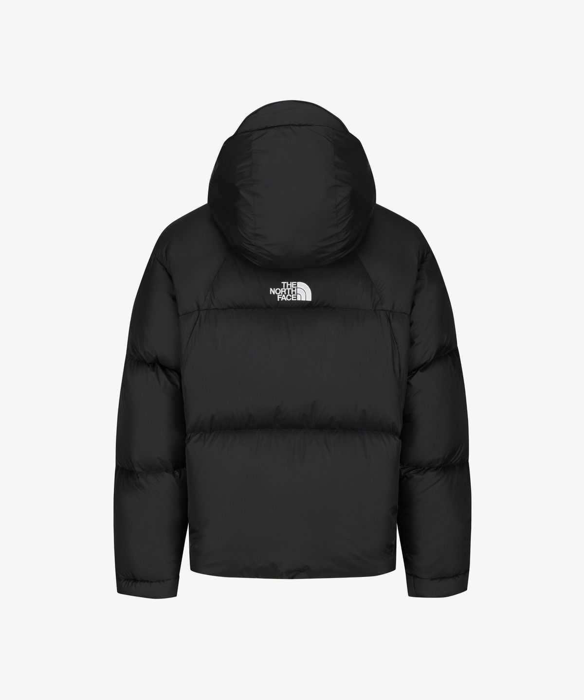 노스페이스(THE NORTH FACE) NJ1DS66J 프로젝트 다운 자켓 (RDS) BLACK