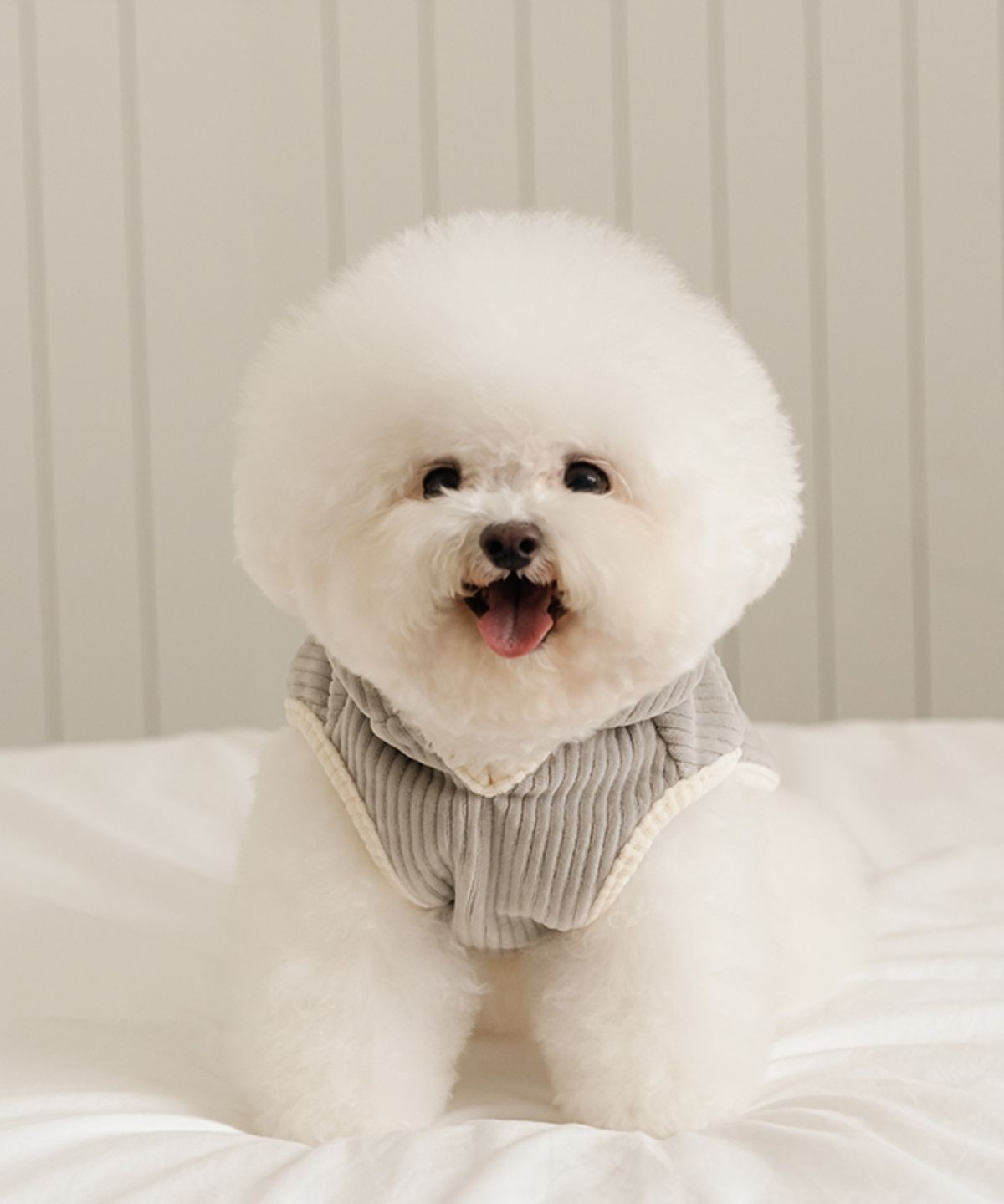 에쎕떱(SSFW) 베베 파우더 판초 (2 colors)