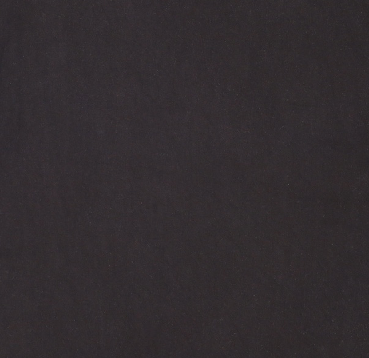 본투윈(BORN TO WIN) NEW RAISEBORN EXTRA FIT T-SHIRTS [BLACK] 2