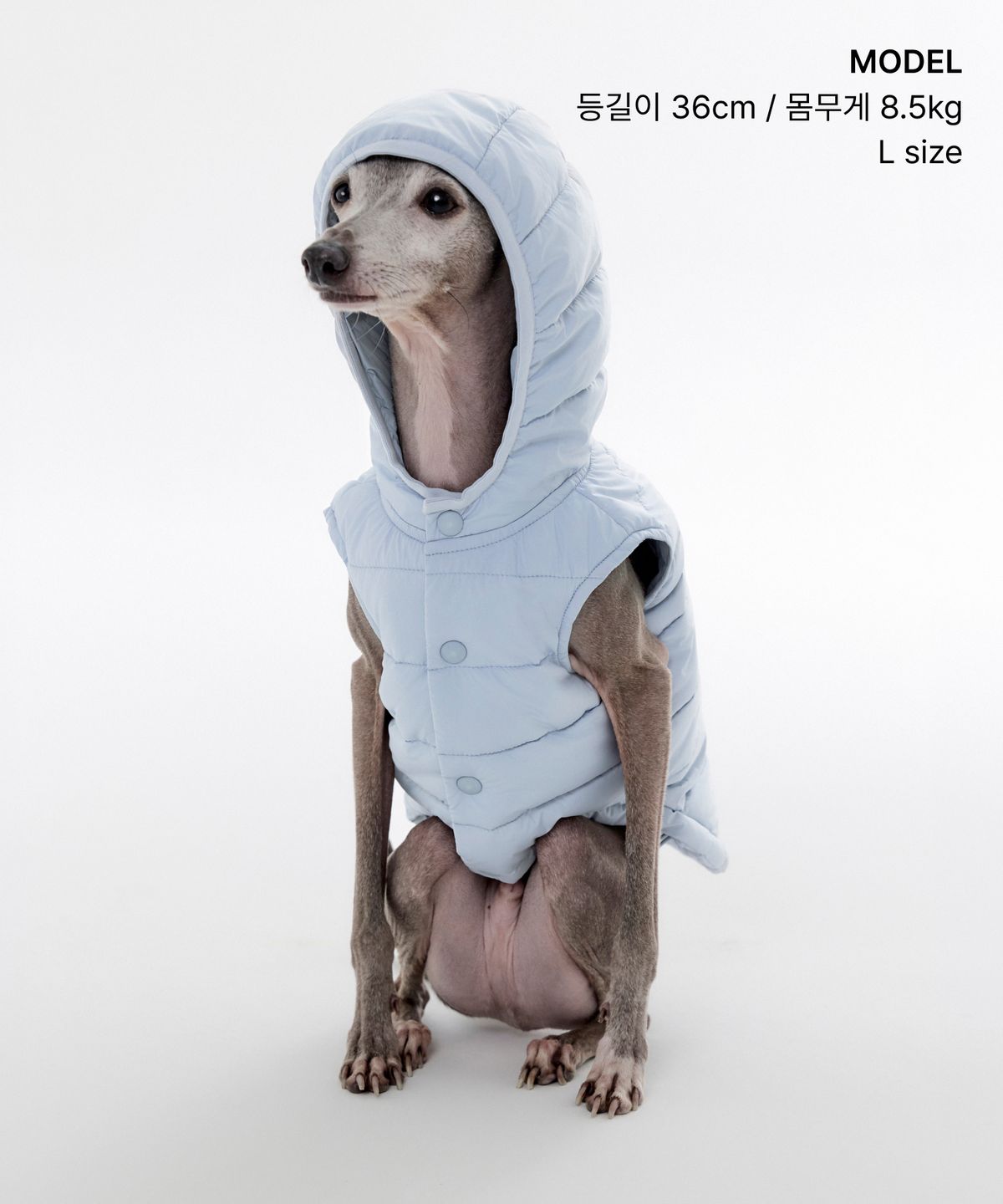 무신사 스탠다드(MUSINSA STANDARD) [시티 레저] 퍼피 후디드 라이트 패딩 재킷 [클라우디 블루]