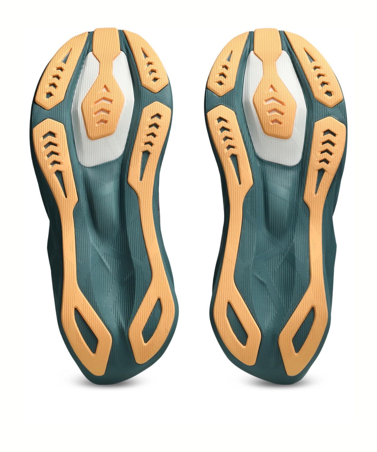 아식스(ASICS) 노바블라스트 6 라이트쇼 남성 스탠다드 - 라이트쇼:오렌지 글로우 / 1011C318-400