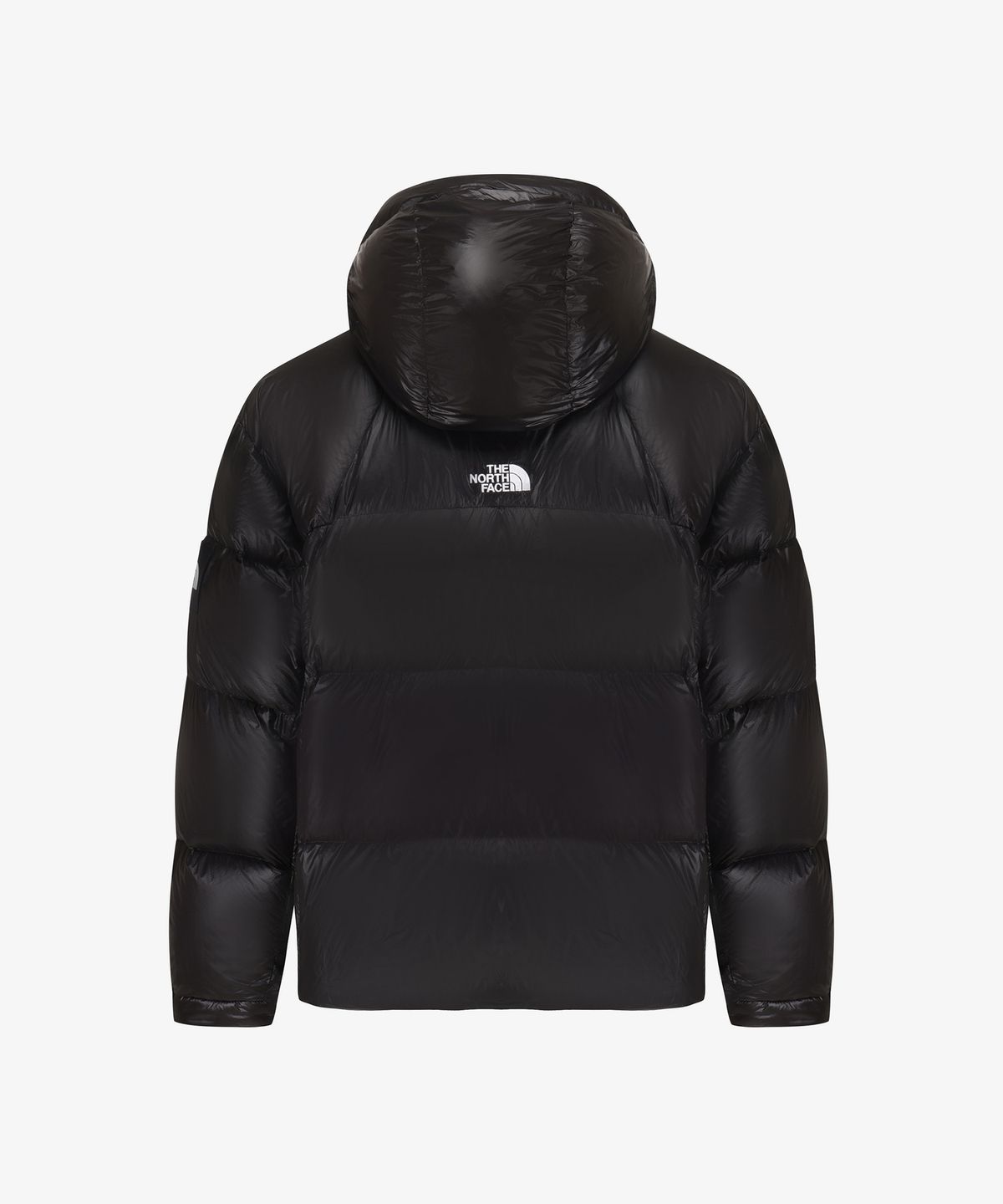 노스페이스(THE NORTH FACE) NJ1DS54J 프로젝트 다운 자켓 V2 (RDS) BLACK