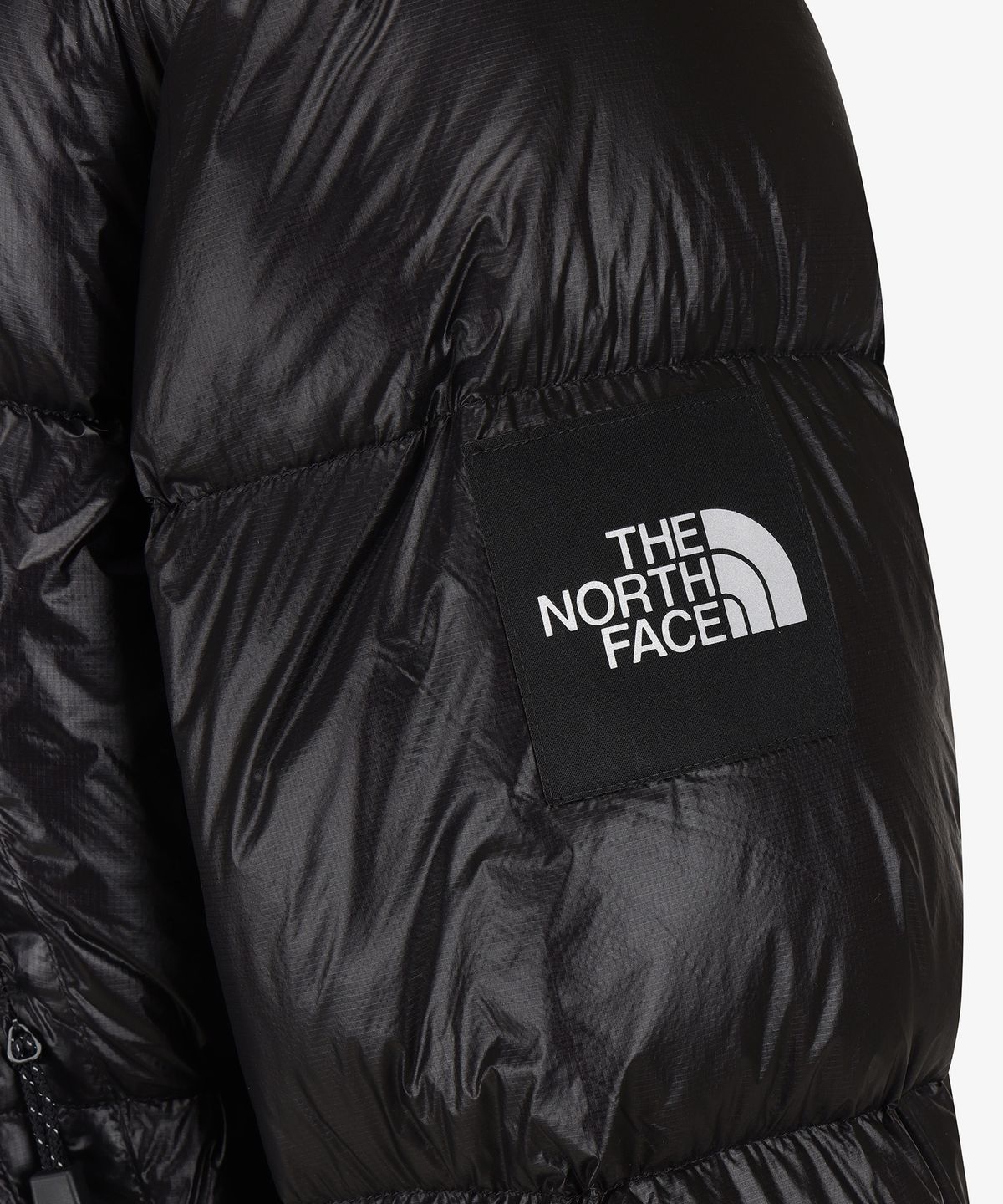 노스페이스(THE NORTH FACE) NJ1DS54J 프로젝트 다운 자켓 V2 (RDS) BLACK