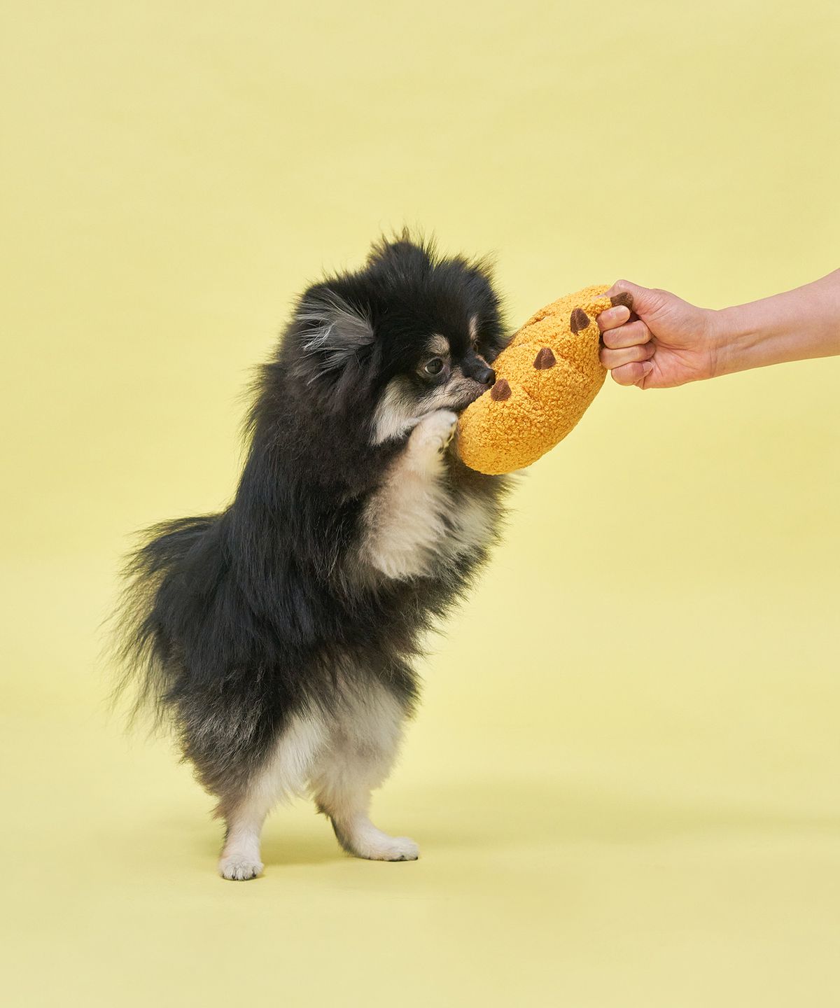 도그아이(DOGI) 강아지 인형 노즈워크 장난감 간식놀이 찾아바나나