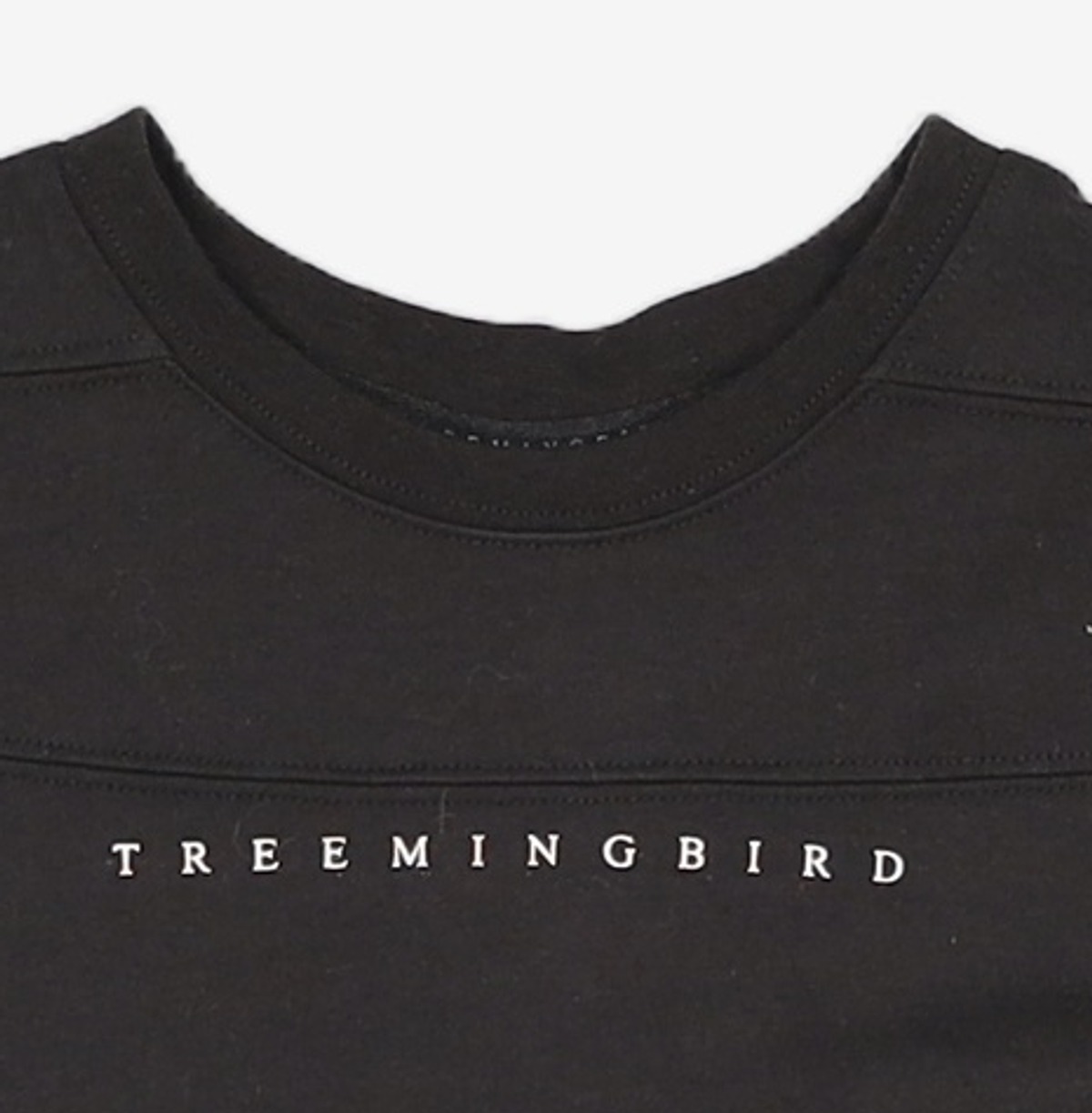 트리밍버드(TREEMINGBIRD) Metal Cut Point Crop T-shirts [ Black ] OS